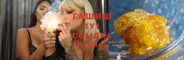 индика Вязьма