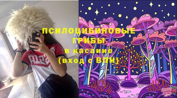 mdpv Надым