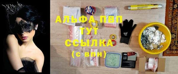 хмурый Болотное