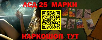 ПСИЛОЦИБИНОВЫЕ ГРИБЫ Аргун