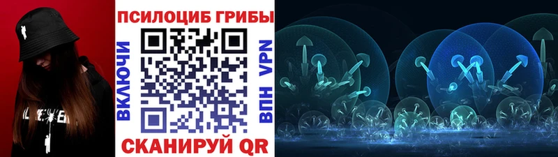 Псилоцибиновые грибы мицелий  Карталы 