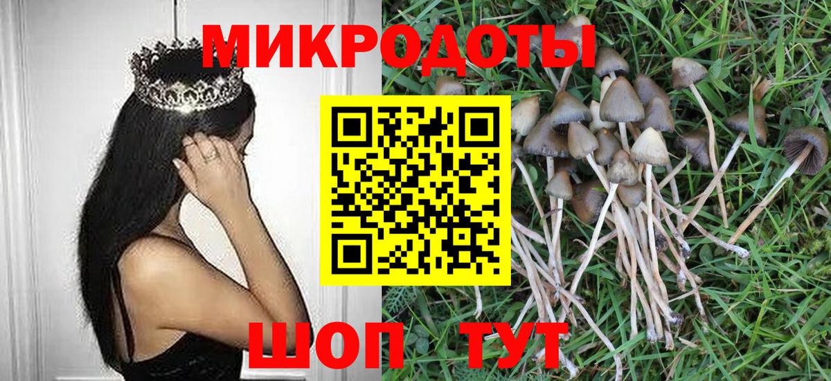 Галлюциногенные грибы Psilocybe  Вход с VPN  Карталы 