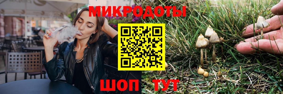 Галлюциногенные грибы Psilocybine cubensis Карталы