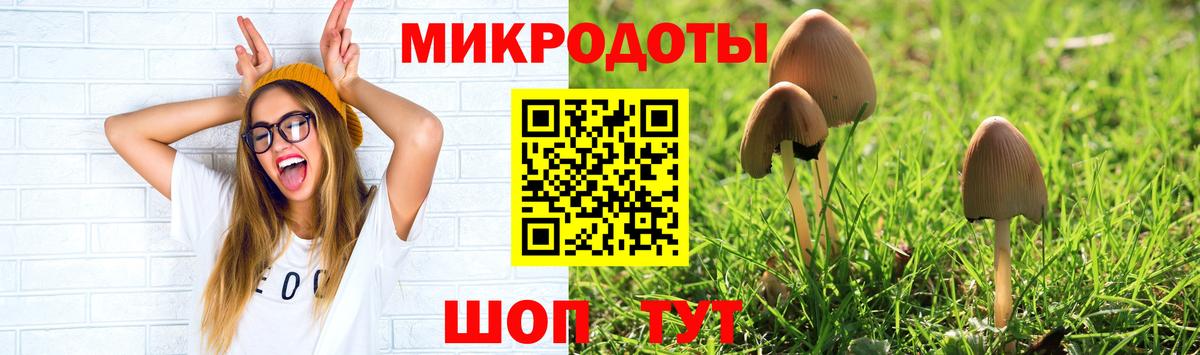 Галлюциногенные грибы Magic Shrooms  Галлюциногенные грибы Magic Shrooms  Карталы 