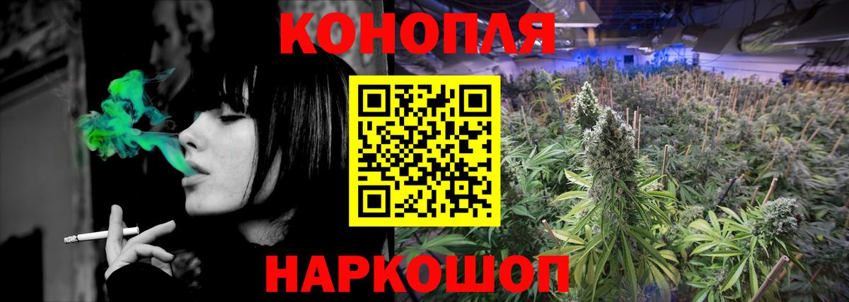 Шишки марихуана семена Карталы